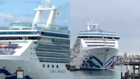 美国邮轮诺如病毒近百人感染