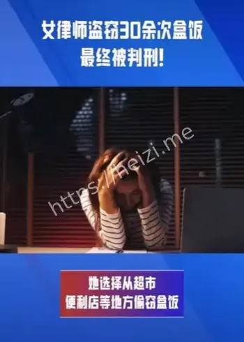 女律师盗窃超市盒饭案